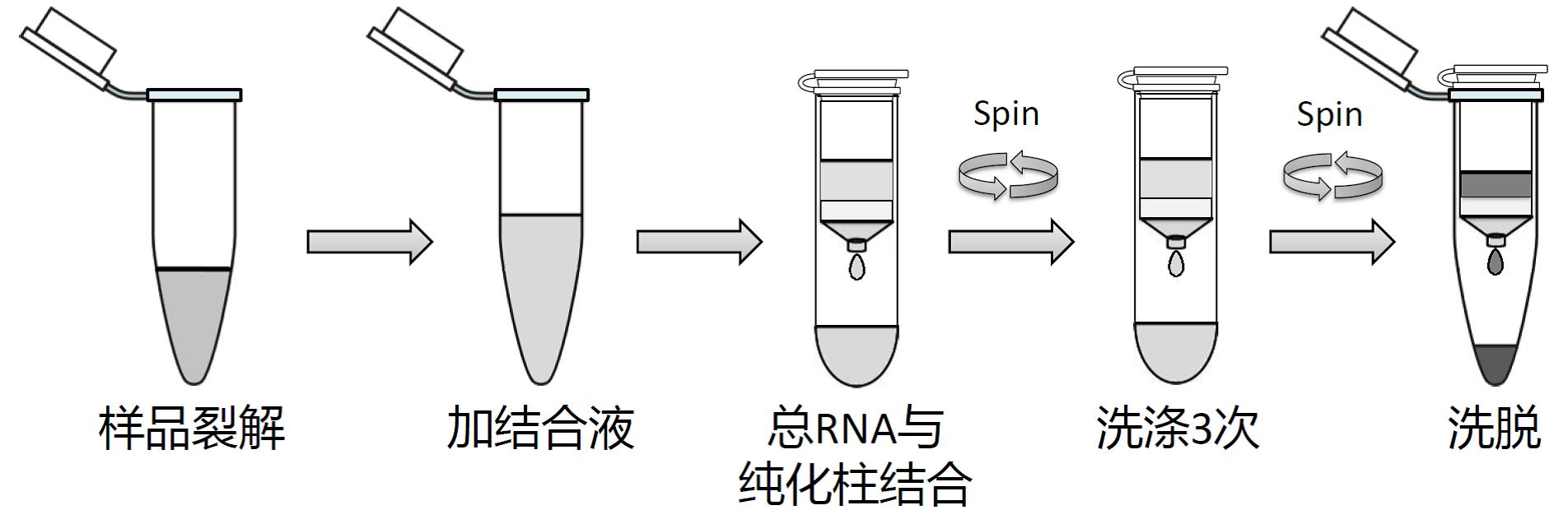 新闻图片11