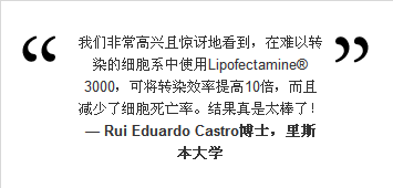 Lipofectamine 3000转染试剂| 大促销!