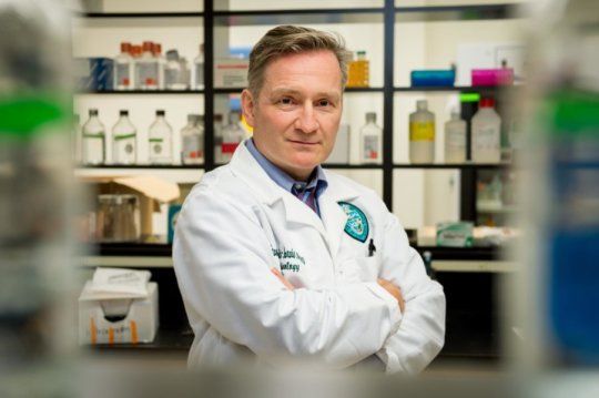 性别差异对生物学研究到底有多重要？