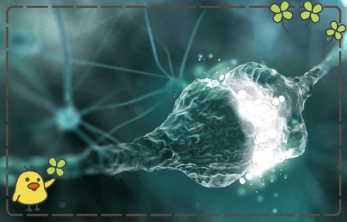 Fluoro-Jade C (FJC) 退化神经元染色试剂盒