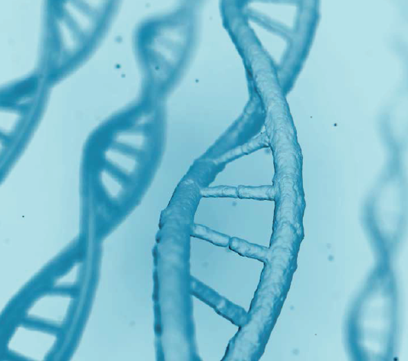 通过 RT-PCR 方法检测 COVID-19 病毒