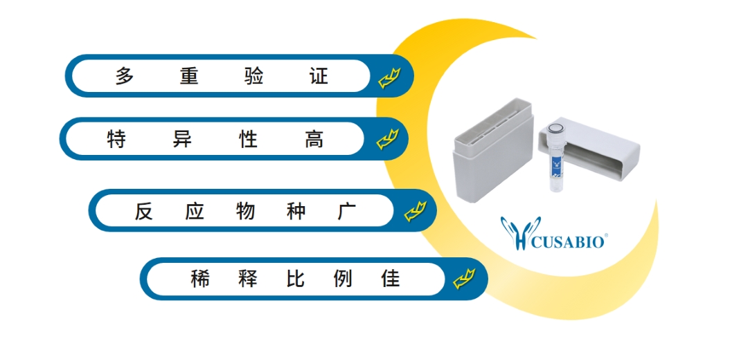 不容错过的标签抗体！