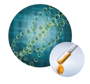 活性因子的生物测定法——威正翔禹|缔一生物