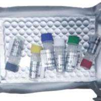 甜菜坏死黄脉病毒探针法 qRT-PCR 试剂盒（不含内参）