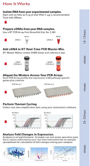 PCR Array 简单实用的检测基因表达的高通量方法
