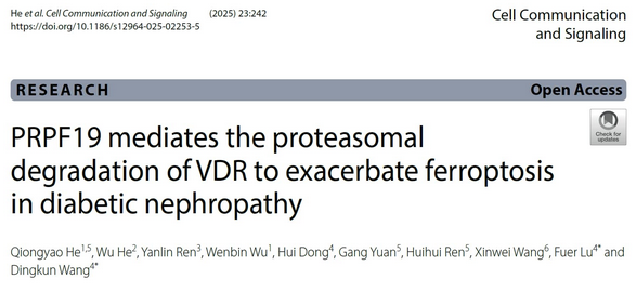 AtaGenix为华中科技大学糖尿病肾病研究提供定制PRPF19蛋白表达服务