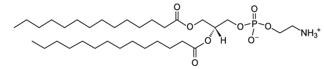 二肉豆蔻酰基磷脂酰乙醇胺 DMPE   CAS:998-07-2