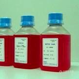 细胞培养难易取决于选择的血清