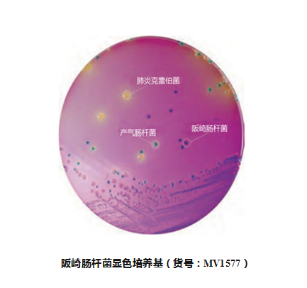 从不同层面降低阪崎肠杆菌的污染