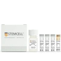 EasySep™ 人全血与骨髓 CD138 阳性分选试剂盒 II