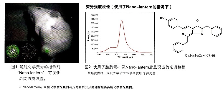 WAKO发光试剂--腔肠素/Coelenterazine