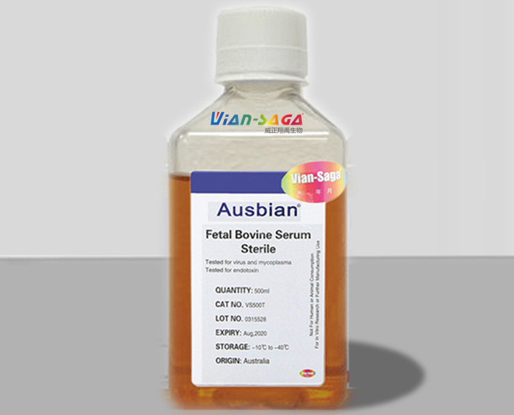 实验人请注意：你知道血清与细胞培养的关系吗？