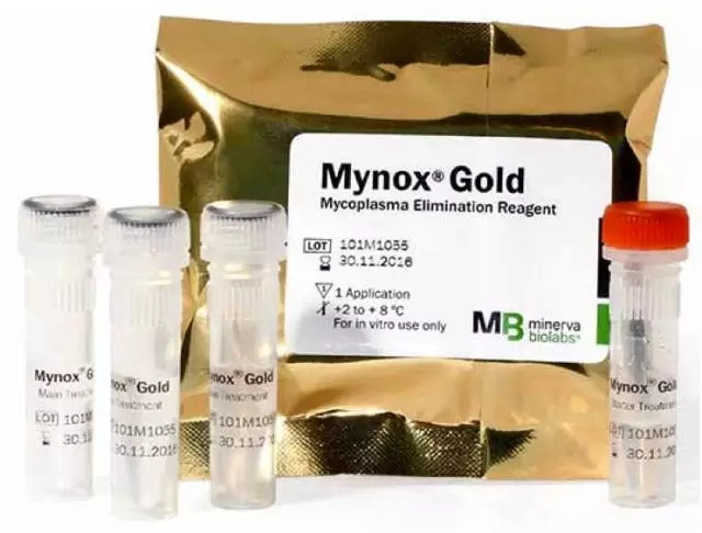 珍贵细胞被细菌污染了怎么办？