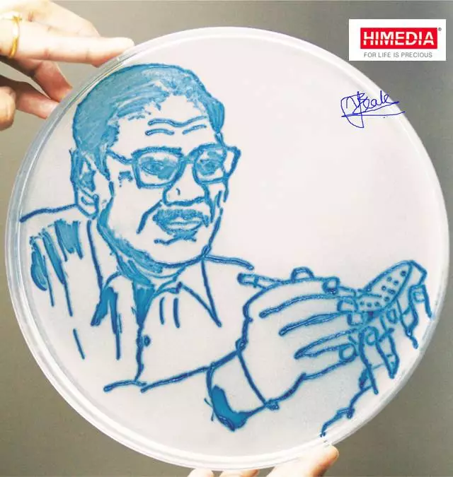 当细菌遇上琼脂，竟然这么美！2017全球获奖作品掠影