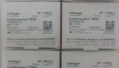 Lipofectamine 3000实验操作步骤