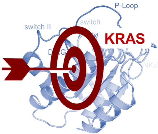 靶向 KRAS[1]
