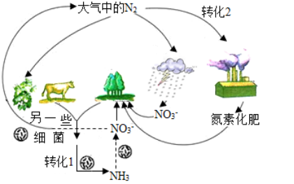 这些氨测定法，你试过吗?