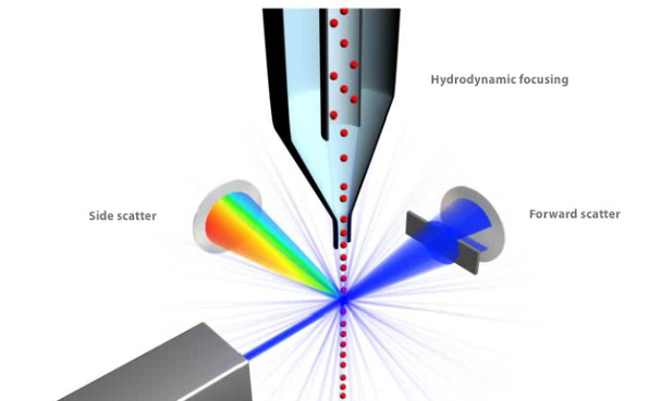 常见流式细胞术问题解答