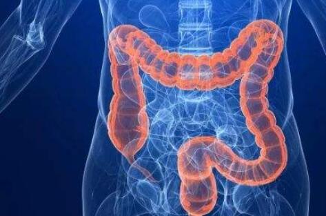 研究发现抑制结直肠肿瘤细胞的新机制