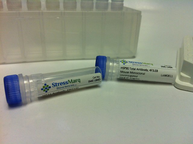 StressMarq Biosciences Inc.抗体大促销