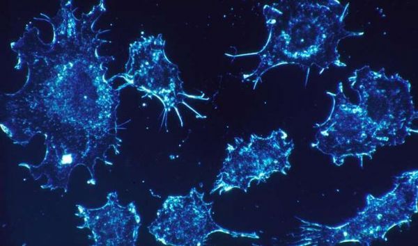 【前沿咨询】Nat Genet：重磅！科学家成功整合多种高端技术来寻找诱发癌症的突变！