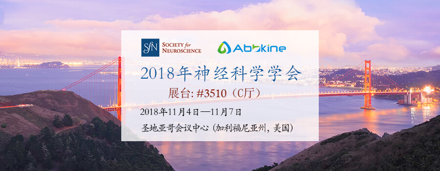 Abbkine与你相约2018年神经科学学会（Neuroscience）