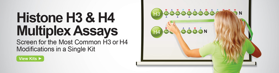 组蛋白修饰试剂盒（甲基化，乙酰化等）-血清血浆样品专用