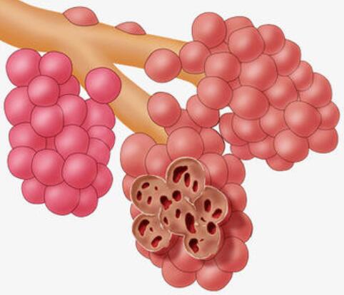 干细胞技术为人类攻克新冠肺炎等创造了新选择