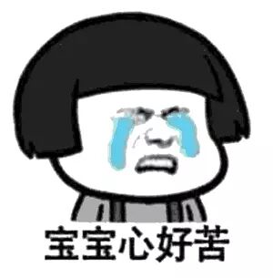 Raybio MAPK信号通路全新上市！