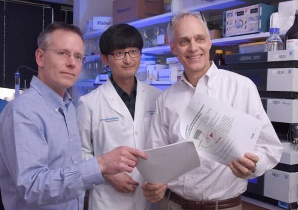 为何饮酒吃糖会让我们变得口渴？