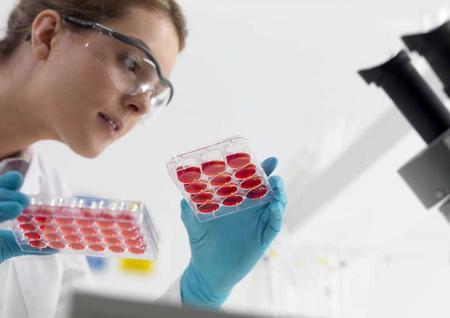 无血清培养基用于疫苗生产