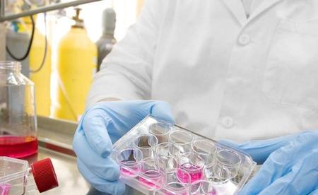 无血清培养基的发展历程