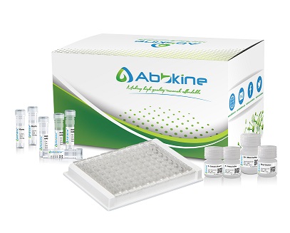 人 瘦素(Leptin) ELISA试剂盒怎么选择？