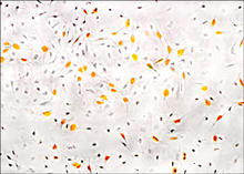 【ABBIOTEC】独家授权总代理正品抗体现货促销！