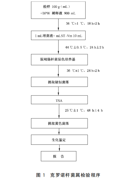 检测阪崎肠杆菌，Hicrome显色培养基来帮你