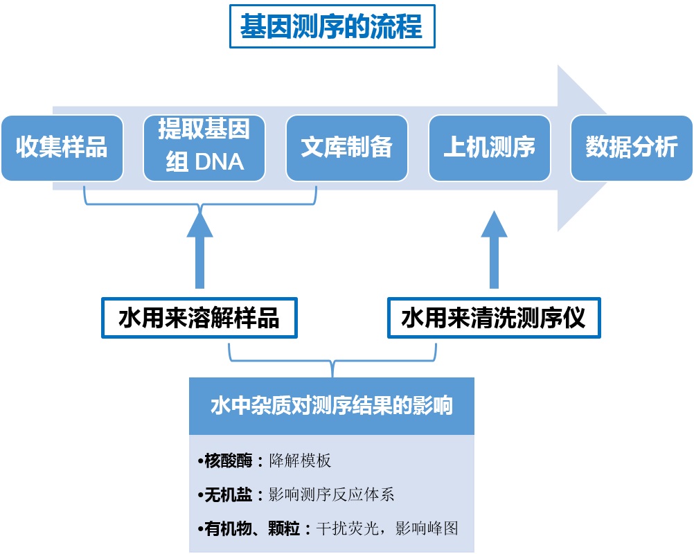 基因测序流程