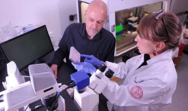 抗疟药物氯奎宁或能让癌症疗法变得更加有效