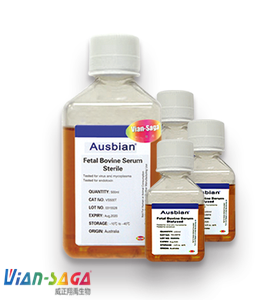 温馨提示如何鉴别优质胎牛血清？