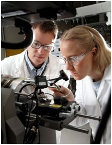 蛋白芯片大促销