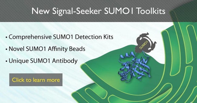 Cytoskeleton公司推新：SUMOylation检测工具7折促销！