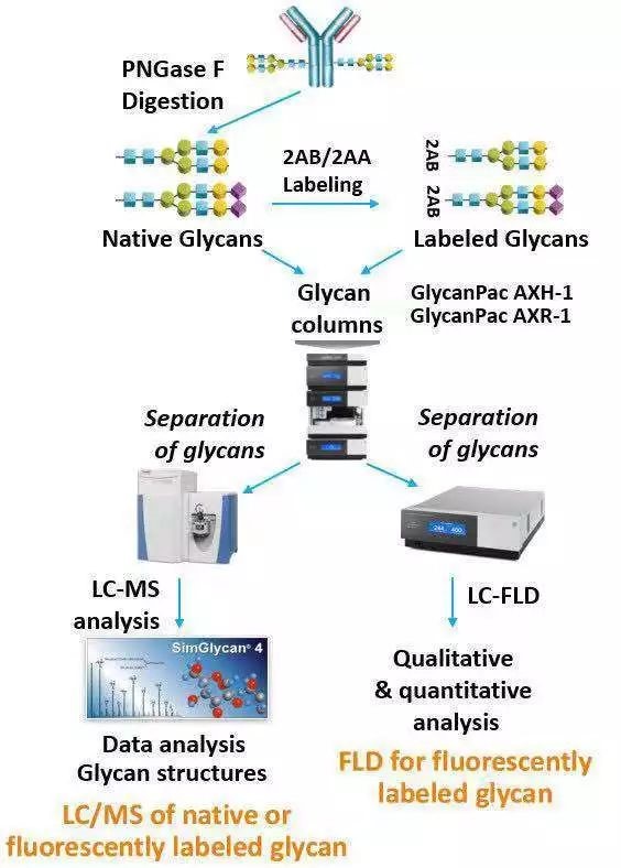 Orbitrap高分辨质谱在生物药物研发和质量控制中的应用