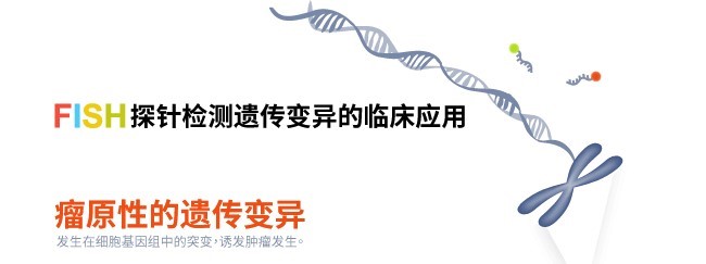 fish探针检测遗传变异的临床应用