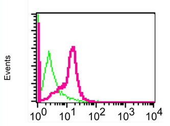 Flow Cytometry - Anti-Bad antibody [Y208] (DyLight® 488) - N-terminal (ab139836)