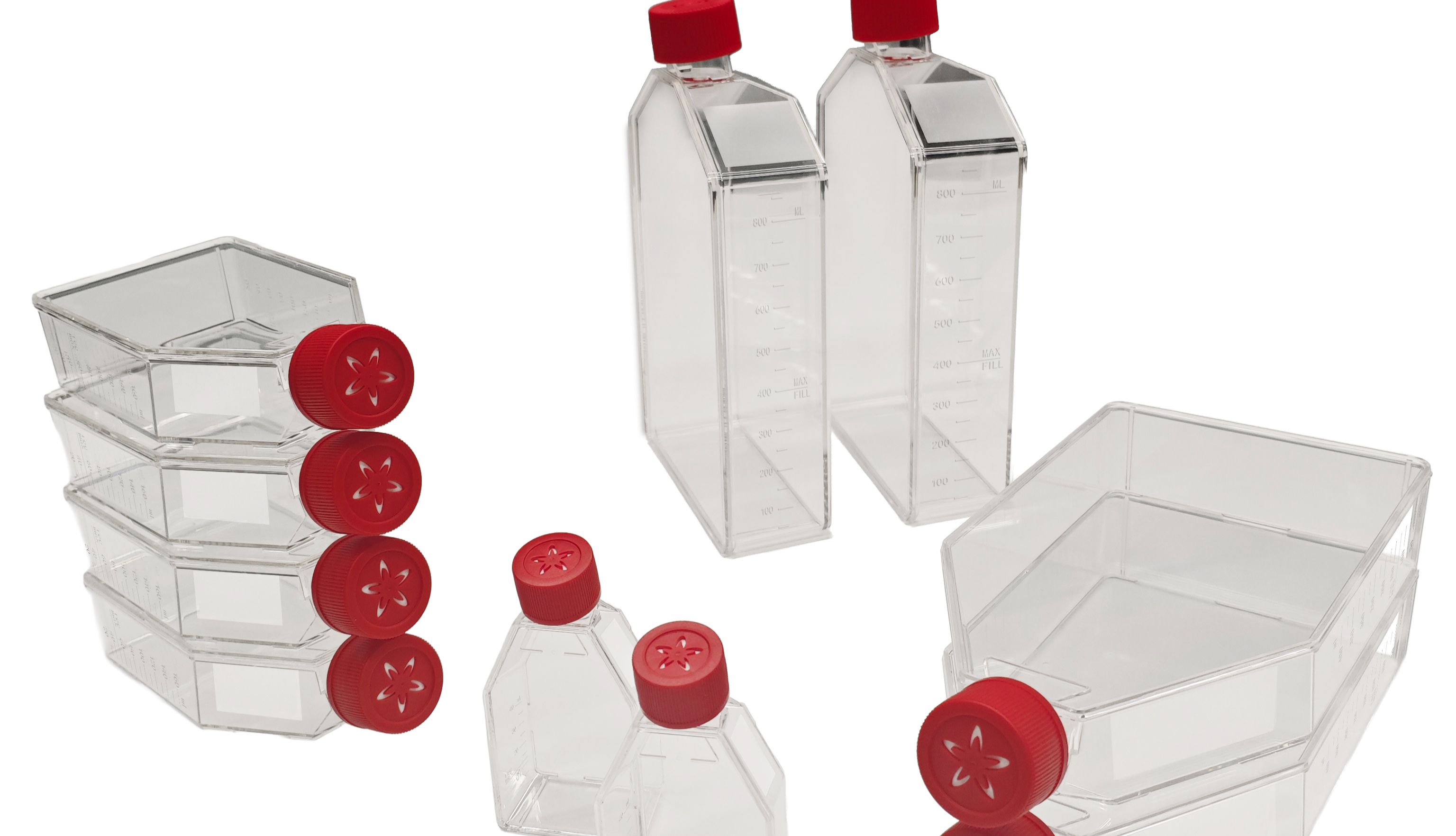 格瑞纳细胞培养瓶新品上市