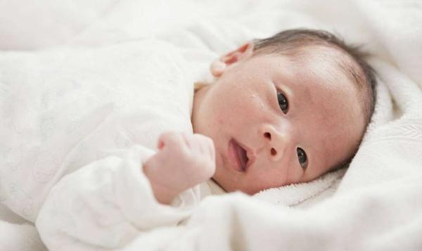 容易“袭击”婴儿的细菌——阪崎肠杆菌