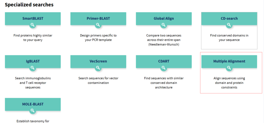 安利一个强大的系统进化树绘制软件，让蛋白序列比对和进化树绘制更简单！