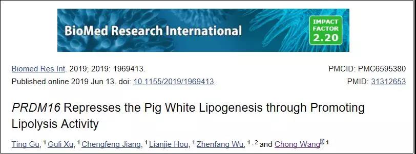 文献解读|PRDM16通过促进脂解活性抑制猪白脂肪生成