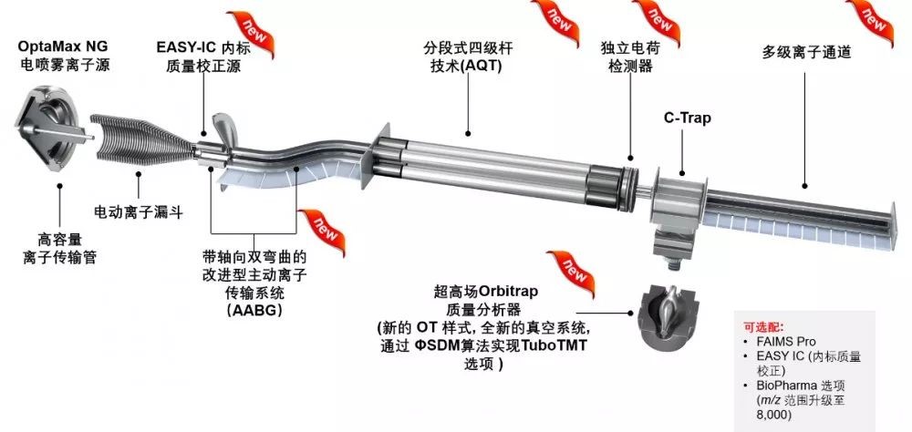 Orbitrap Exploris™ 480第1篇文献