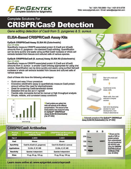 Epigentek CRISPR/Cas9试剂盒促销折页