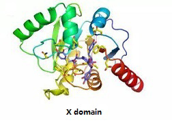 TargetMol's 7 libraries for your research to combat against covid-19